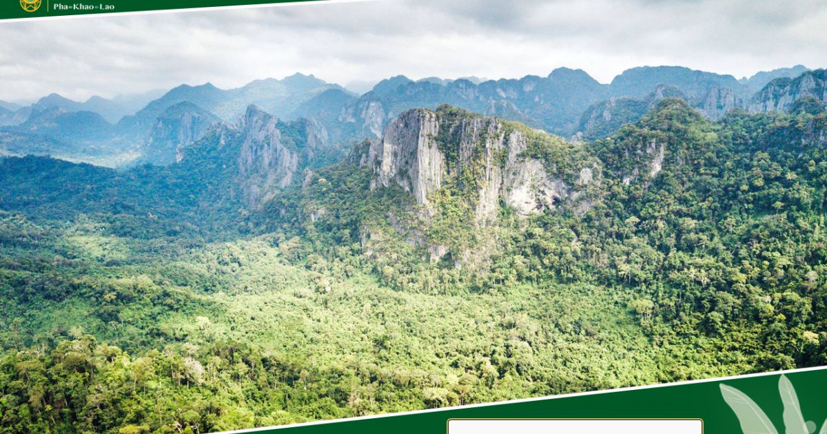 アウトドア 寝袋/寝具 Hin Nam No national park to join IUCN green list | Pha Khao Lao